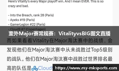 室外Major赛常规赛：VitalityvsBIG图文直播